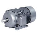 BEIDE 1TL0303 AL-Frame-Serie Dreiphasen asynchroner Motor